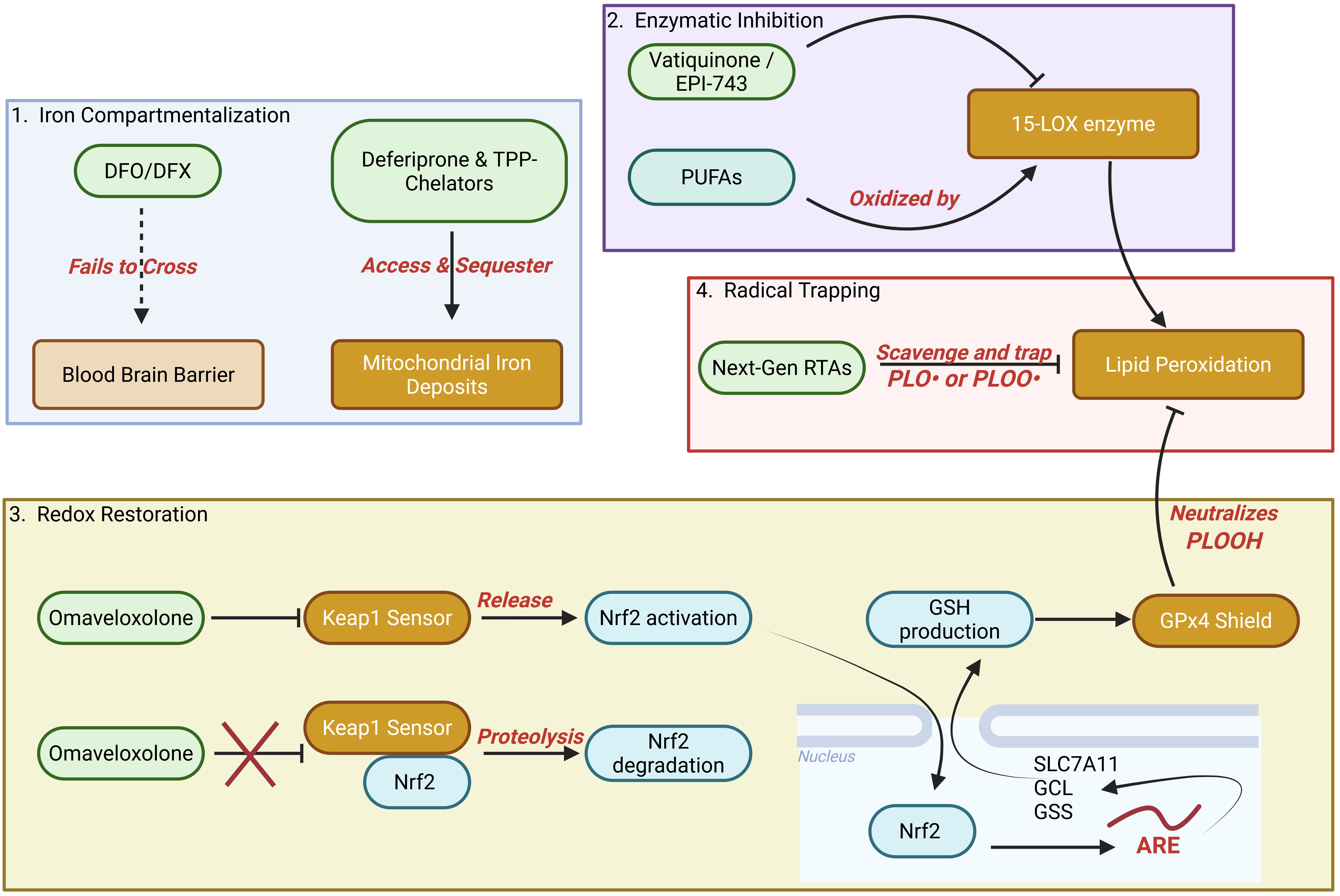 glutathione peroxidase components The Selenoprotein Glutathione Peroxidase 4: From Molecular Mechanisms to  Novel Therapeutic Opportunities