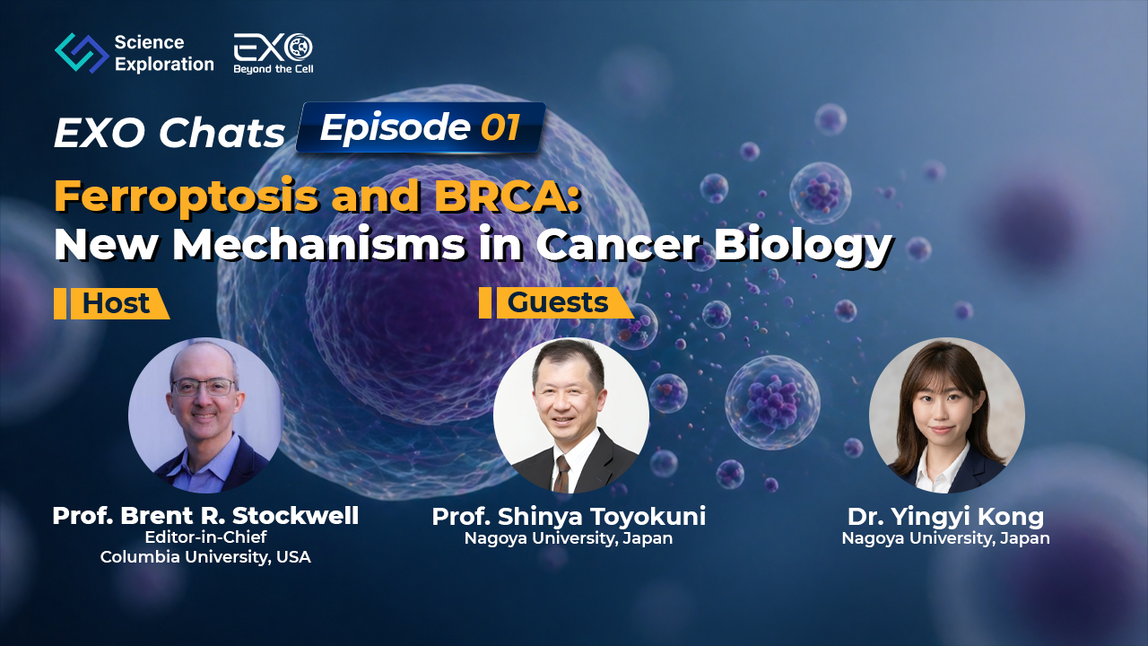 Ferroptosis and BRCA: New Mechanisms in Cancer Biology